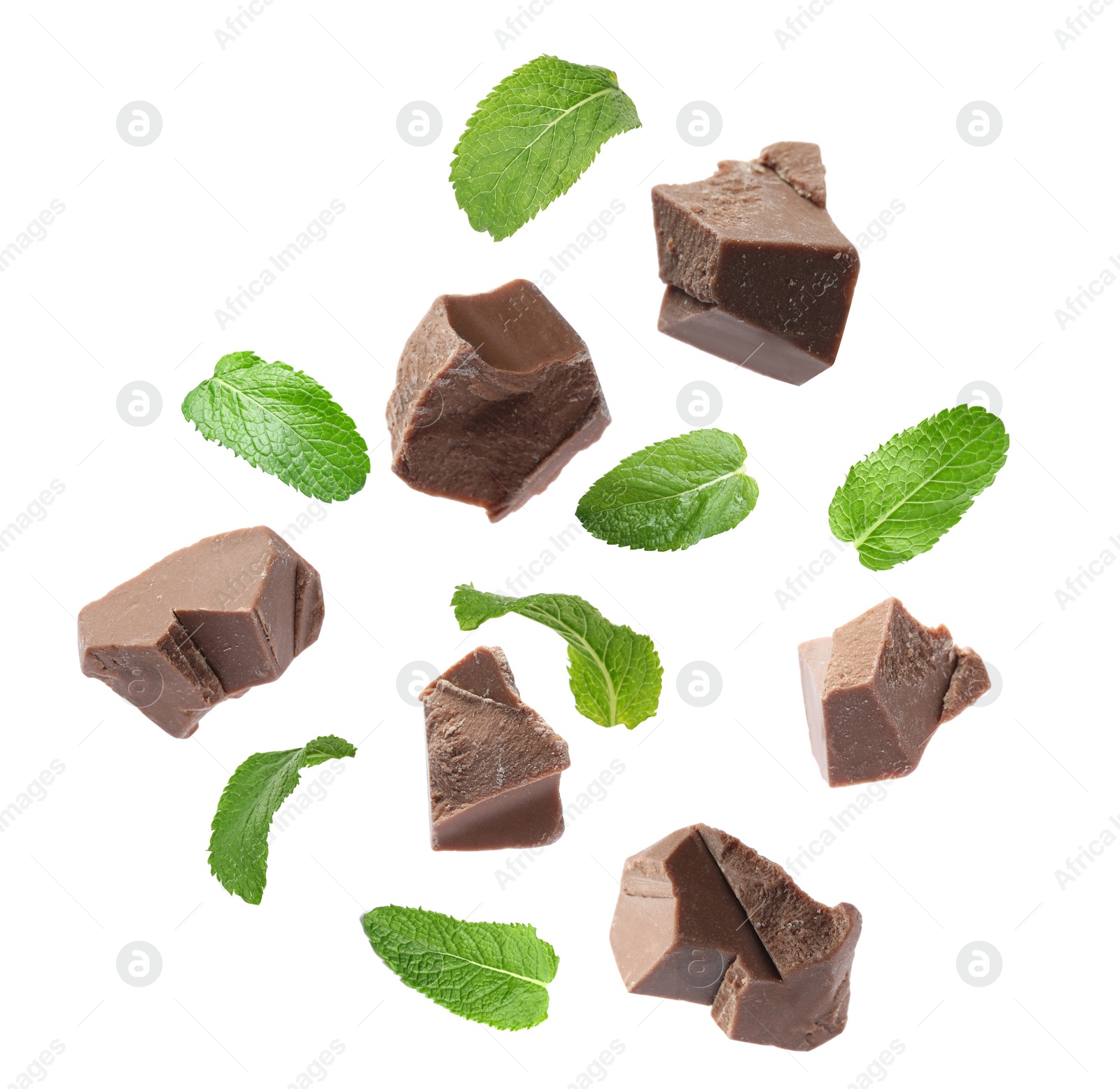 Milk chocolate pieces and mint falling on white background Image of Milk chocolate pieces and mint falling on white background