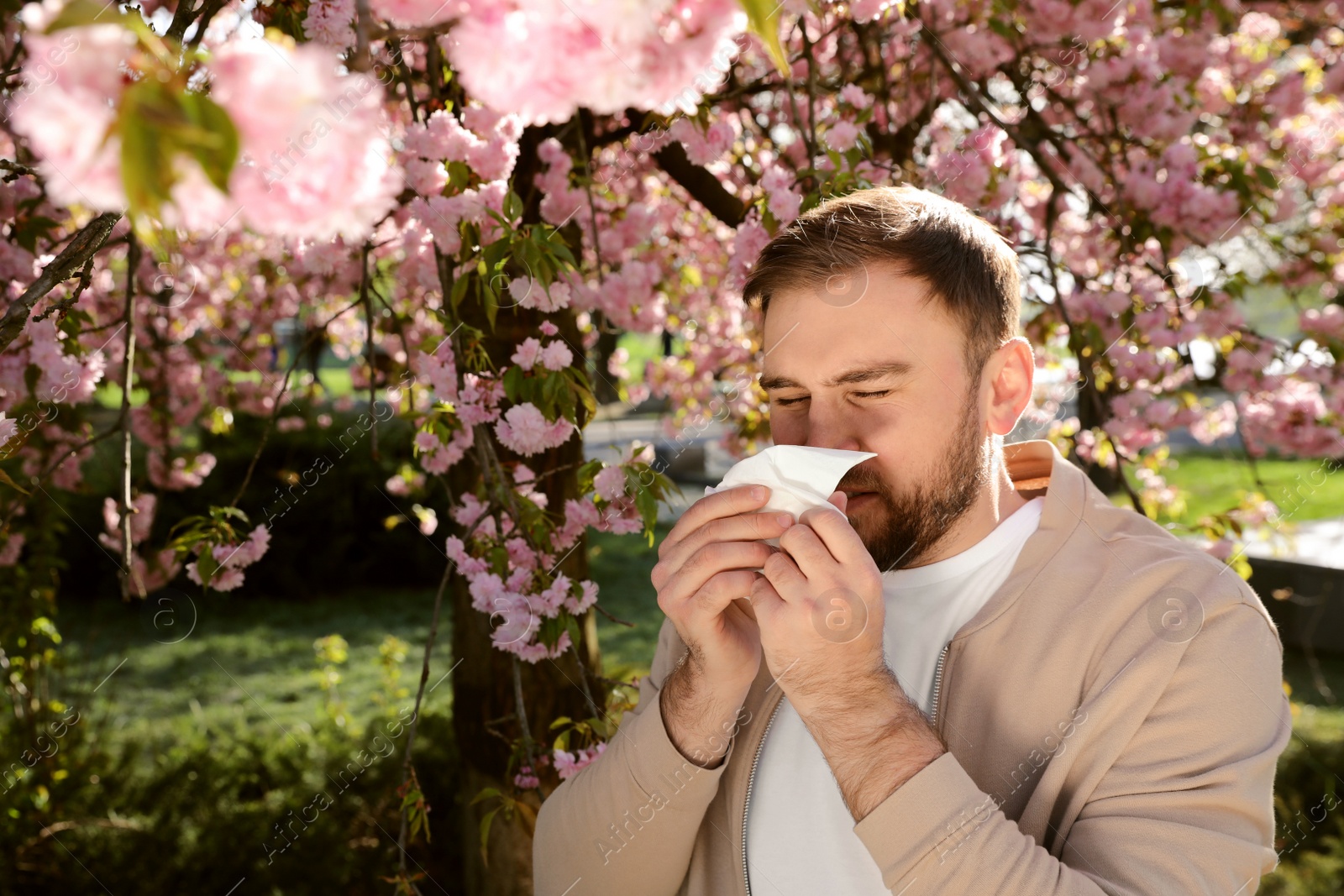 Man suffering from seasonal pollen allergy near blossoming tree outdoors Photo of Man suffering from seasonal pollen allergy near blossoming tree outdoors