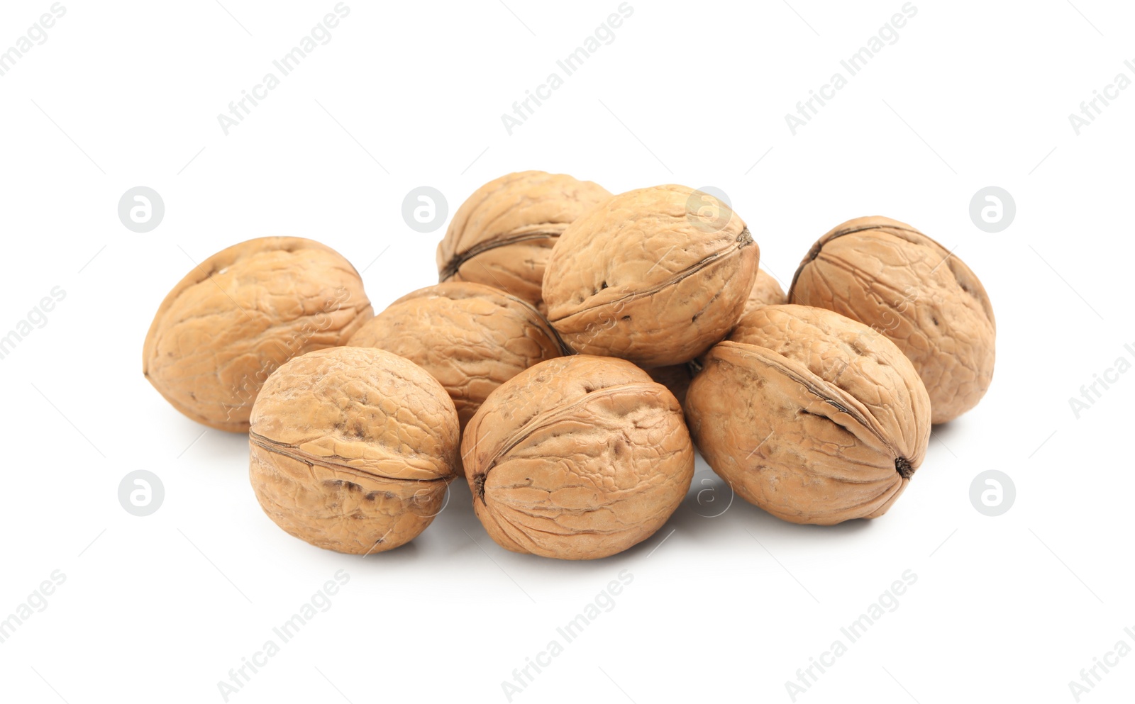 Whole walnuts in shell on white background Photo of Whole walnuts in shell on white background