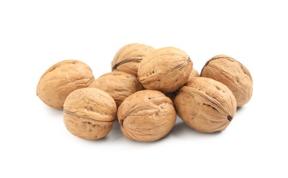 Whole walnuts in shell on white background Photo of Whole walnuts in shell on white background