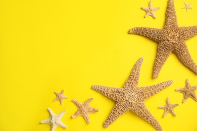 Beautiful sea stars on yellow background, flat lay. Space for text Photo of Beautiful sea stars on yellow background, flat lay. Space for text