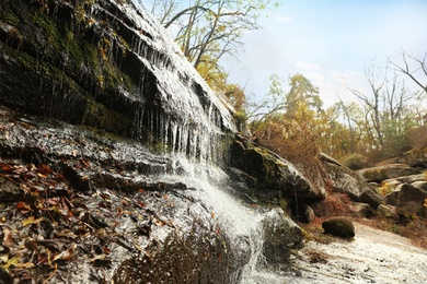 Picturesque view of beautiful waterfall in forest on autumn day Photo of Picturesque view of beautiful waterfall in forest on autumn day