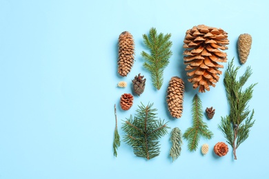 Flat lay composition with pinecones on light blue background. Space for text Photo of Flat lay composition with pinecones on light blue background. Space for text