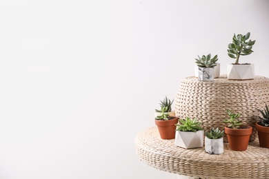 Beautiful succulents on wicker stand, space for text. Interior decoration Photo of Beautiful succulents on wicker stand, space for text. Interior decoration