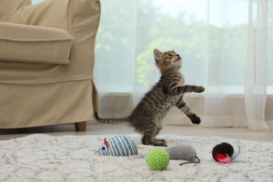 Cute little kitten playing with toys at home. Adorable pet Photo of Cute little kitten playing with toys at home. Adorable pet