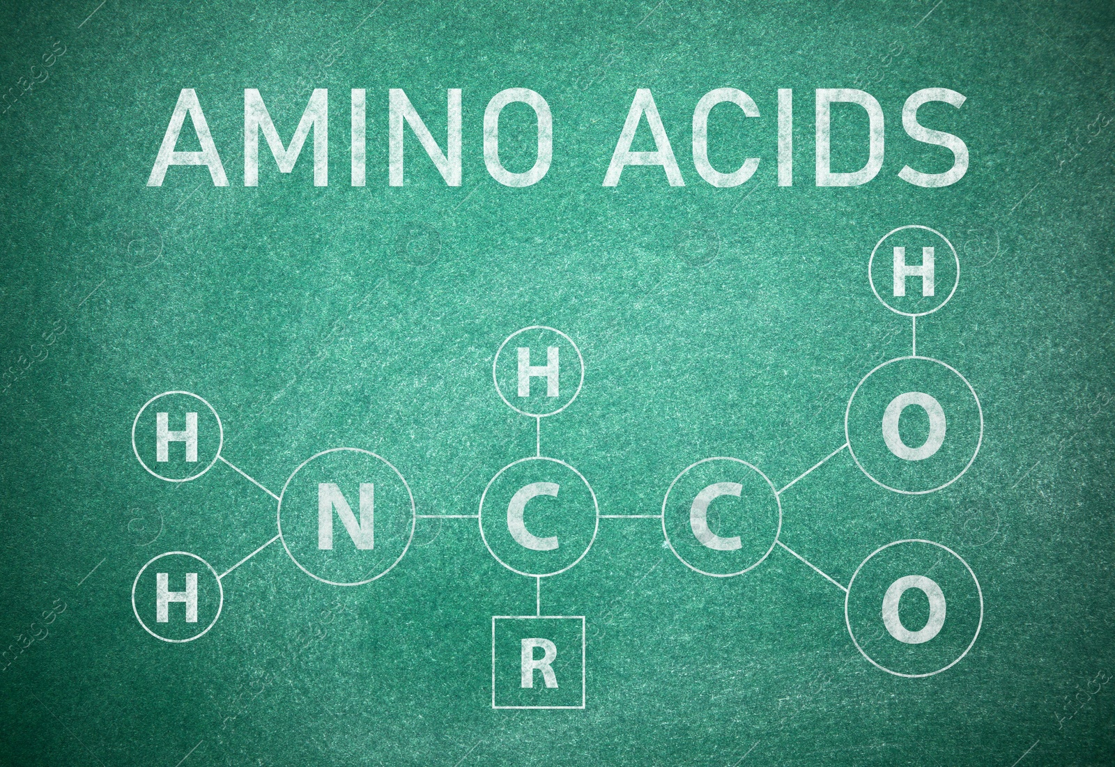 Text AMINO ACIDS and chemical formula written on green chalkboard Illustration of Text AMINO ACIDS and chemical formula written on green chalkboard