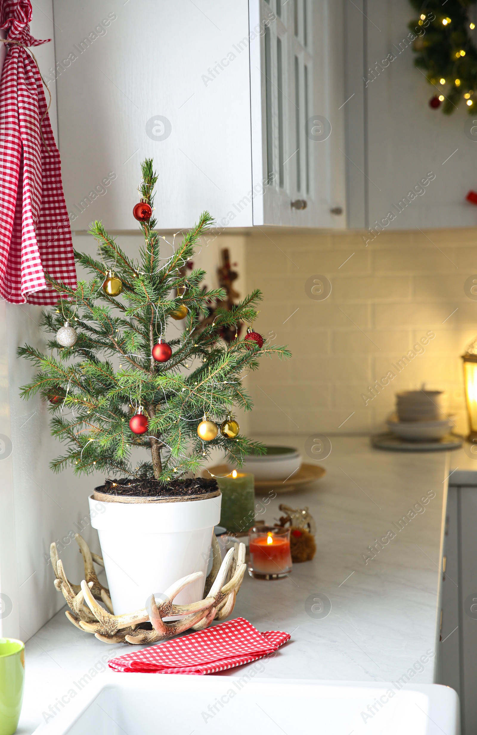 Small Christmas tree decorated with baubles and festive lights in kitchen Photo of Small Christmas tree decorated with baubles and festive lights in kitchen