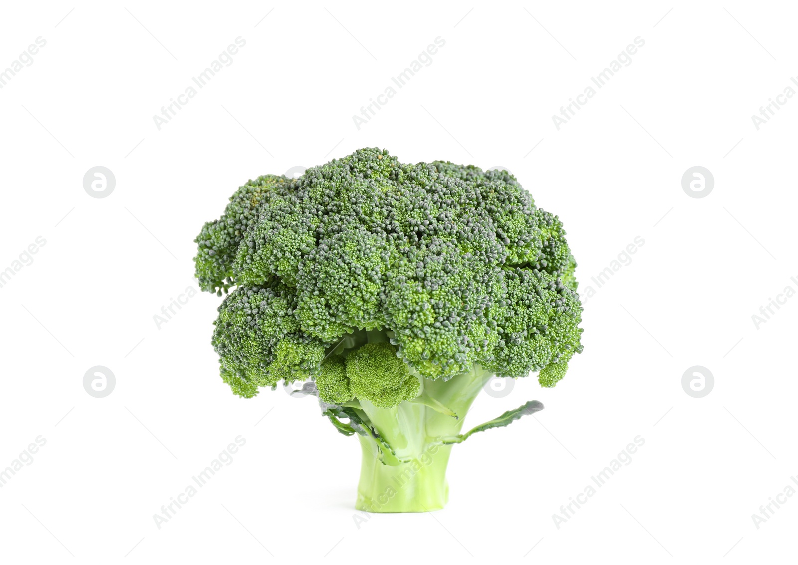 Fresh green raw broccoli on white background Photo of Fresh green raw broccoli on white background