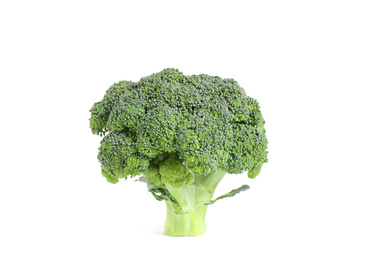 Fresh green raw broccoli on white background Photo of Fresh green raw broccoli on white background