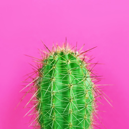 Beautiful bright cactus on pink background, closeup Image of Beautiful bright cactus on pink background, closeup