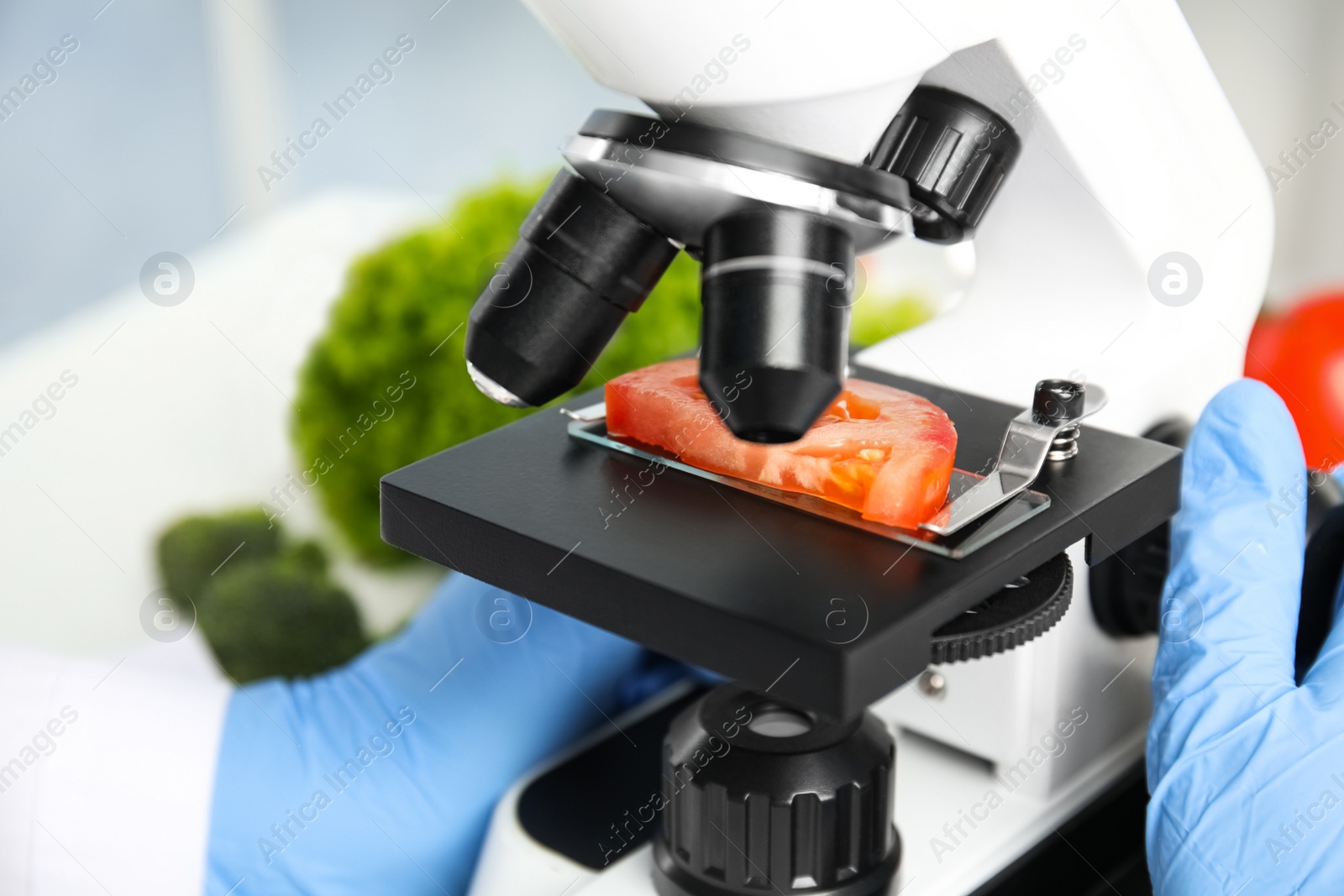 Scientist inspecting slice of tomato with microscope in laboratory, closeup. Poison detection Photo of Scientist inspecting slice of tomato with microscope in laboratory, closeup. Poison detection