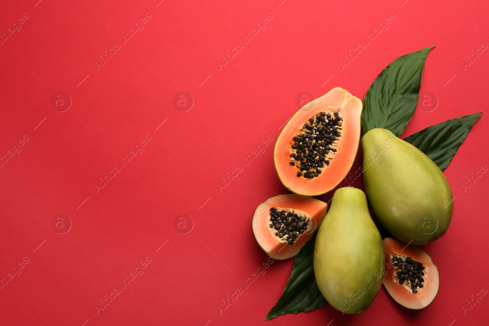 Fresh ripe papaya fruits with green leaves on red background, flat lay. Space for text Photo of Fresh ripe papaya fruits with green leaves on red background, flat lay. Space for text