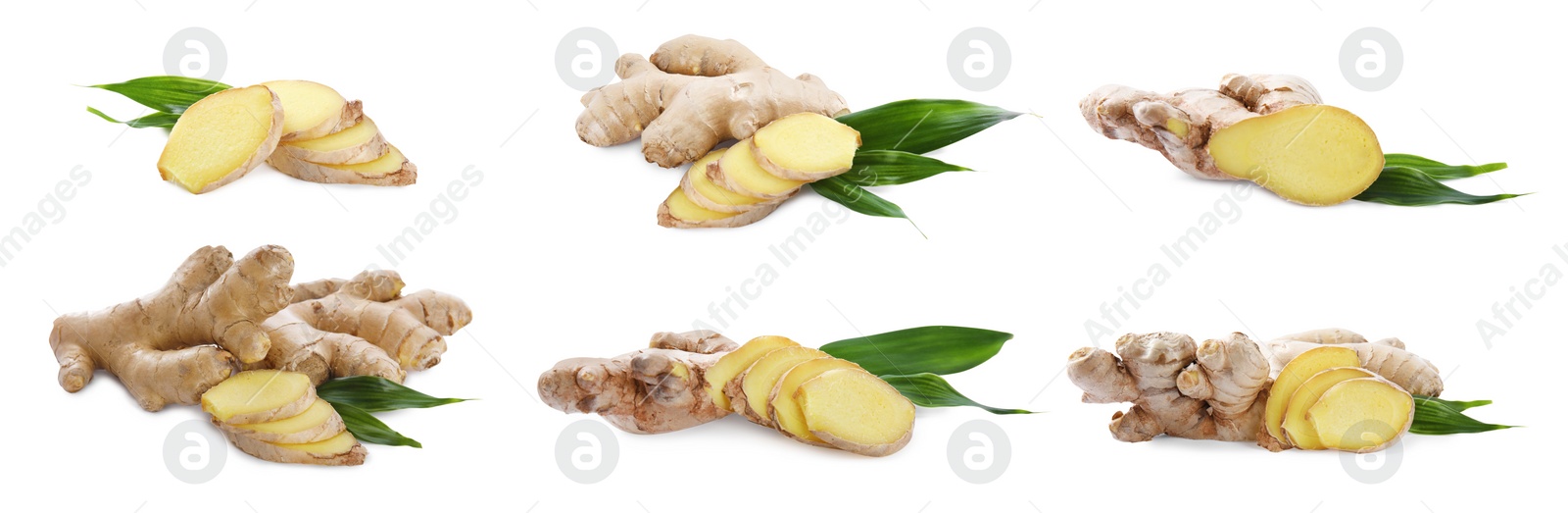 Set of fresh aromatic ginger with green leaves on white background. Banner design Image of Set of fresh aromatic ginger with green leaves on white background. Banner design