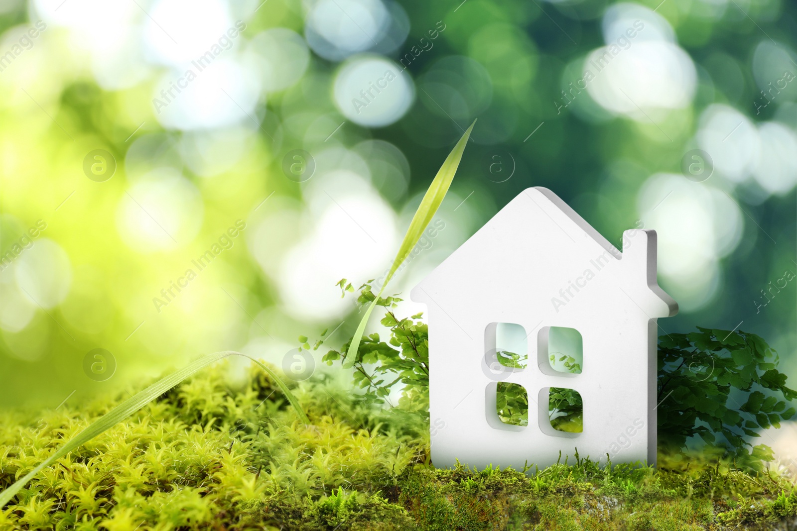 Eco friendly home. House model on green grass outdoors, space for text Image of Eco friendly home. House model on green grass outdoors, space for text