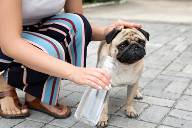 Owner helping her pug dog on street in hot day, closeup. Heat stroke prevention Photo of Owner helping her pug dog on street in hot day, closeup. Heat stroke prevention