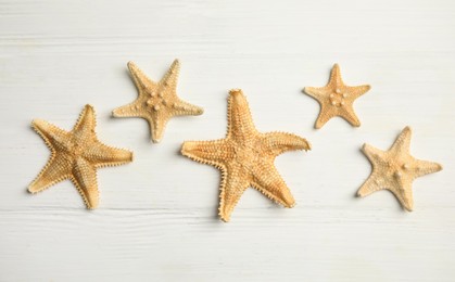 Beautiful sea stars on white wooden background, flat lay Photo of Beautiful sea stars on white wooden background, flat lay