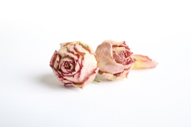Beautiful dry rose flowers on white background Photo of Beautiful dry rose flowers on white background