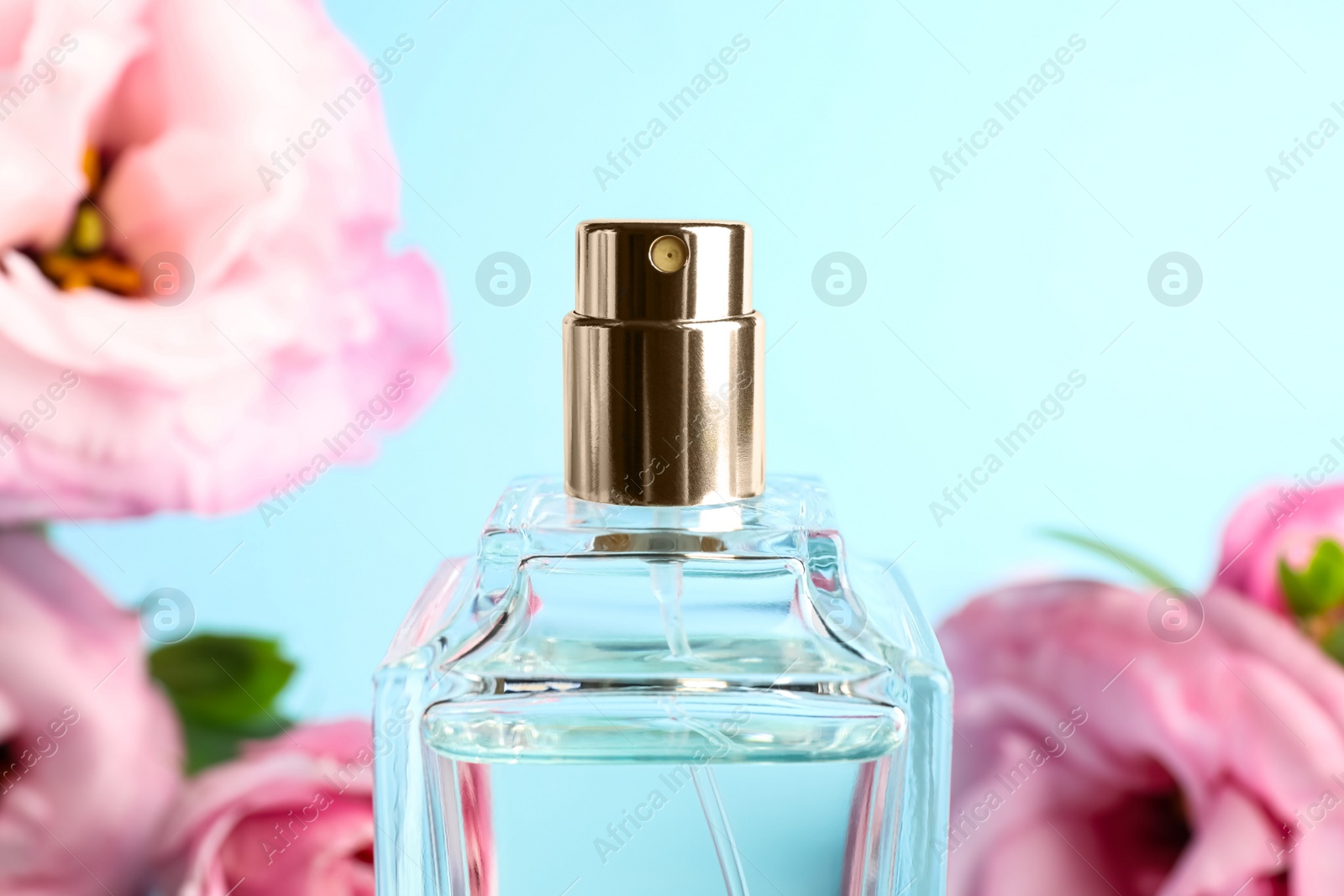 Bottle of perfume on blurred background, closeup Photo of Bottle of perfume on blurred background, closeup