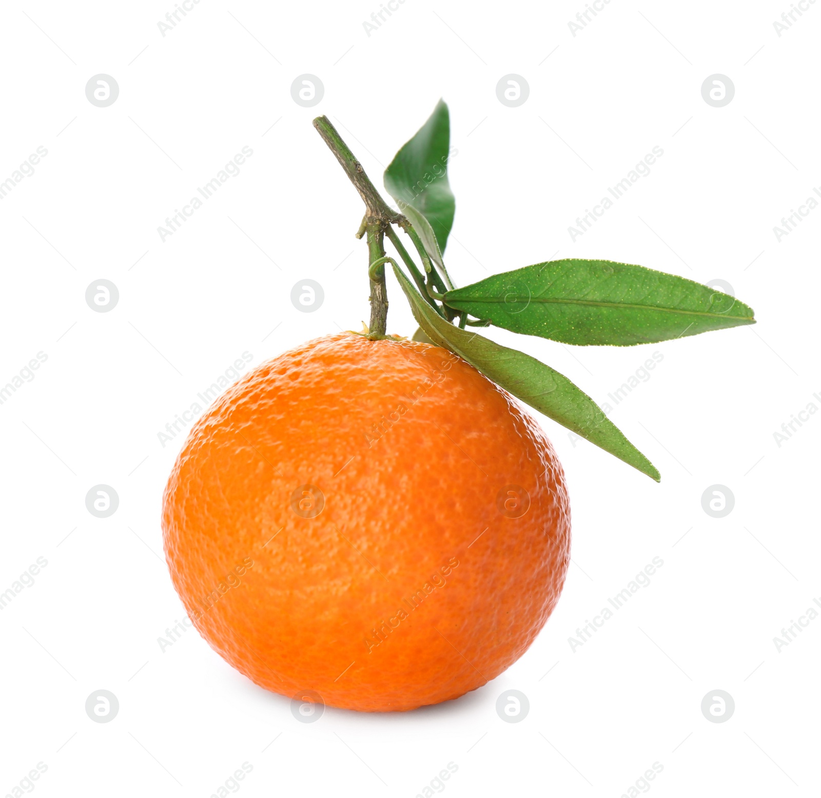 Whole fresh tangerine with green leaves isolated on white Photo of Whole fresh tangerine with green leaves isolated on white