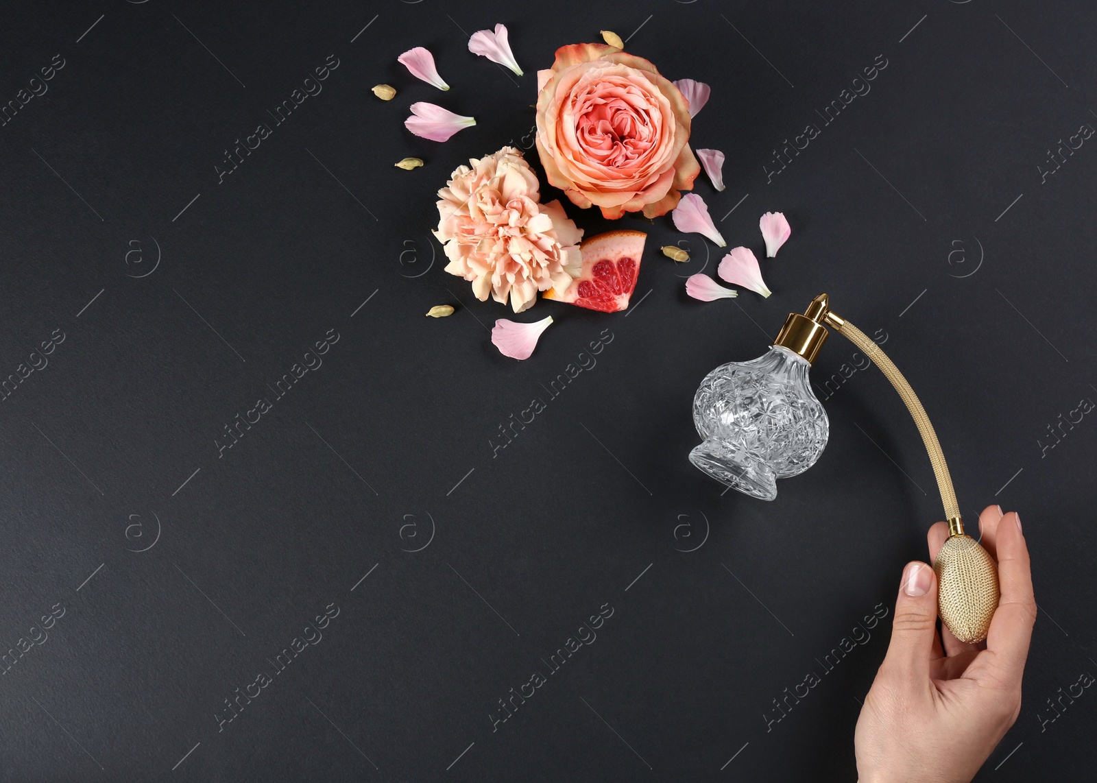 Woman with perfume. Fragrance composition, flowers and grapefruit on black background, top view. Space for text Photo of Woman with perfume. Fragrance composition, flowers and grapefruit on black background, top view. Space for text