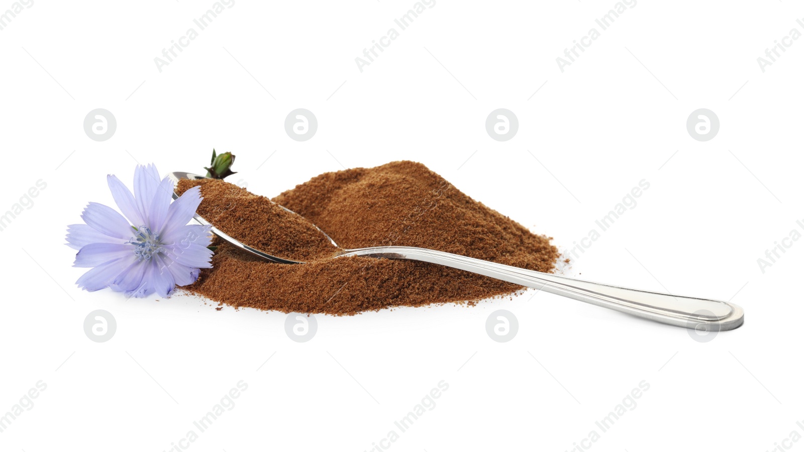 Spoon, chicory powder and flower on white background Photo of Spoon, chicory powder and flower on white background