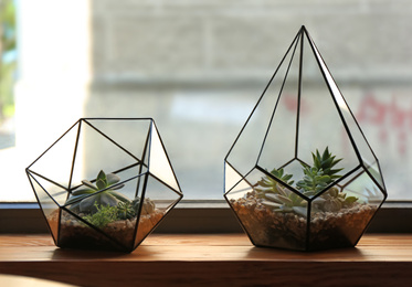 Florariums with succulents on wooden windowsill Photo of Florariums with succulents on wooden windowsill