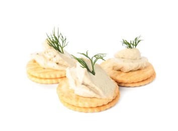Delicious crackers with humus and dill on white background Photo of Delicious crackers with humus and dill on white background