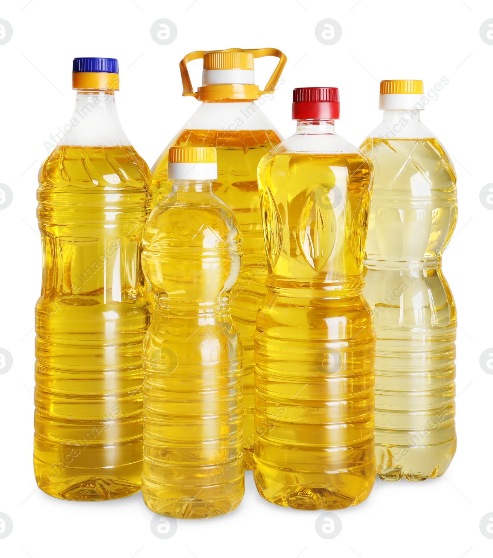 Bottles of cooking oil on white background Photo of Bottles of cooking oil on white background