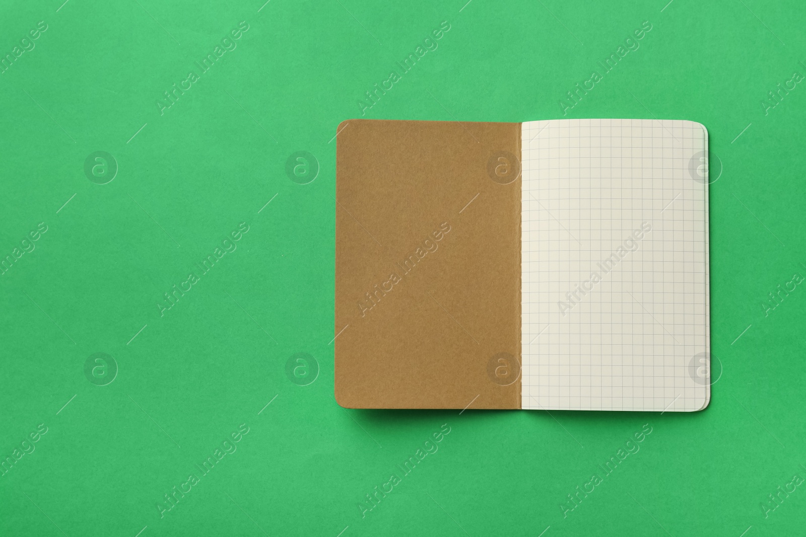 Stylish open notebook with blank sheets on green background, top view. Space for text Photo of Stylish open notebook with blank sheets on green background, top view. Space for text