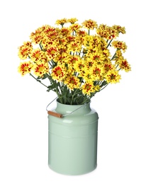 Vase with beautiful chrysanthemum flowers isolated on white Photo of Vase with beautiful chrysanthemum flowers isolated on white