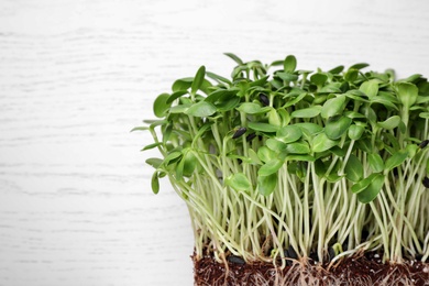 Fresh organic microgreen on white table, top view Photo of Fresh organic microgreen on white table, top view