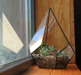 Florarium with succulents on wooden windowsill indoor Photo of Florarium with succulents on wooden windowsill indoor