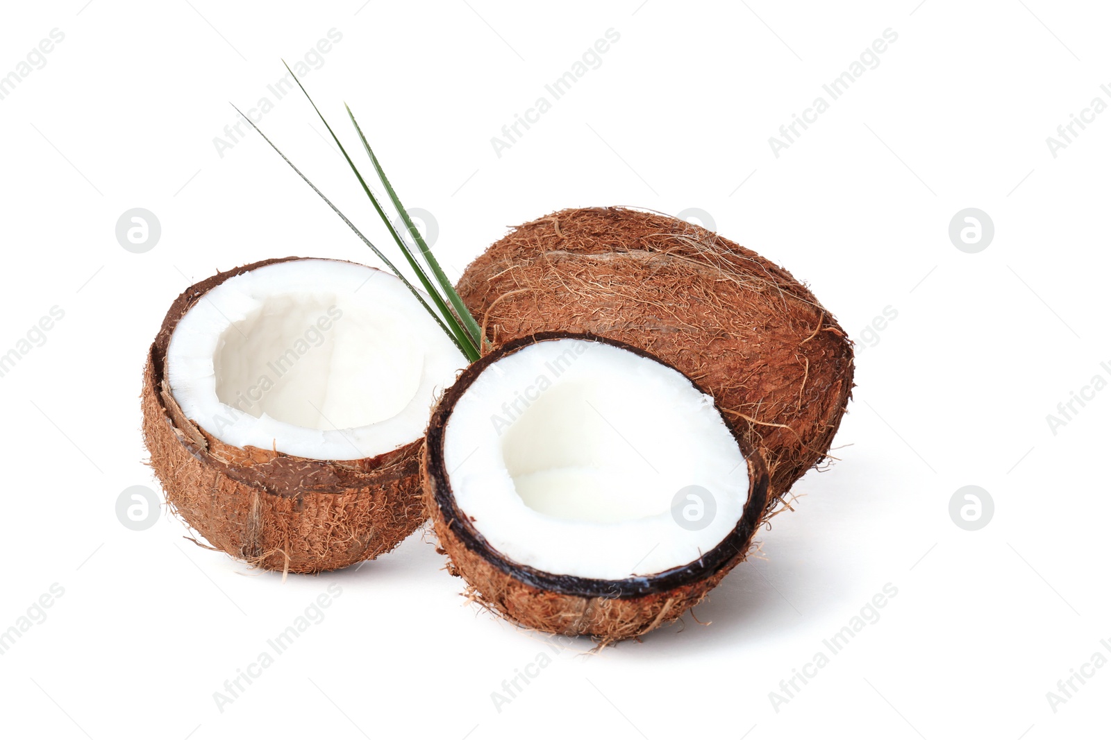 Coconuts with fresh milk on white background Photo of Coconuts with fresh milk on white background