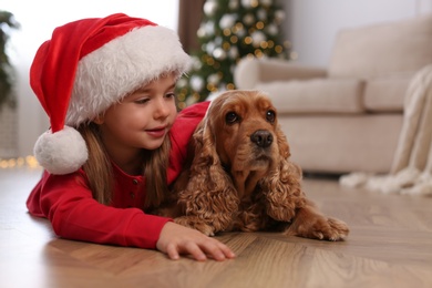Cute little girl in Santa hat with English Cocker Spaniel at home. Christmas celebration Photo of Cute little girl in Santa hat with English Cocker Spaniel at home. Christmas celebration