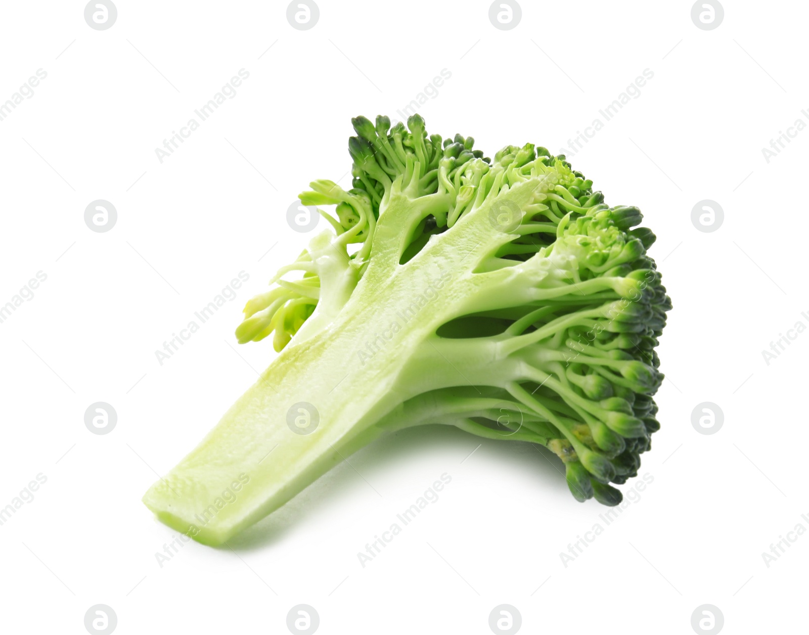 Fresh broccoli isolated on white. Edible green plant Photo of Fresh broccoli isolated on white. Edible green plant
