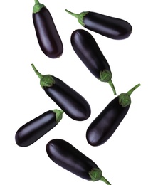 Many fresh eggplants falling on white background Image of Many fresh eggplants falling on white background