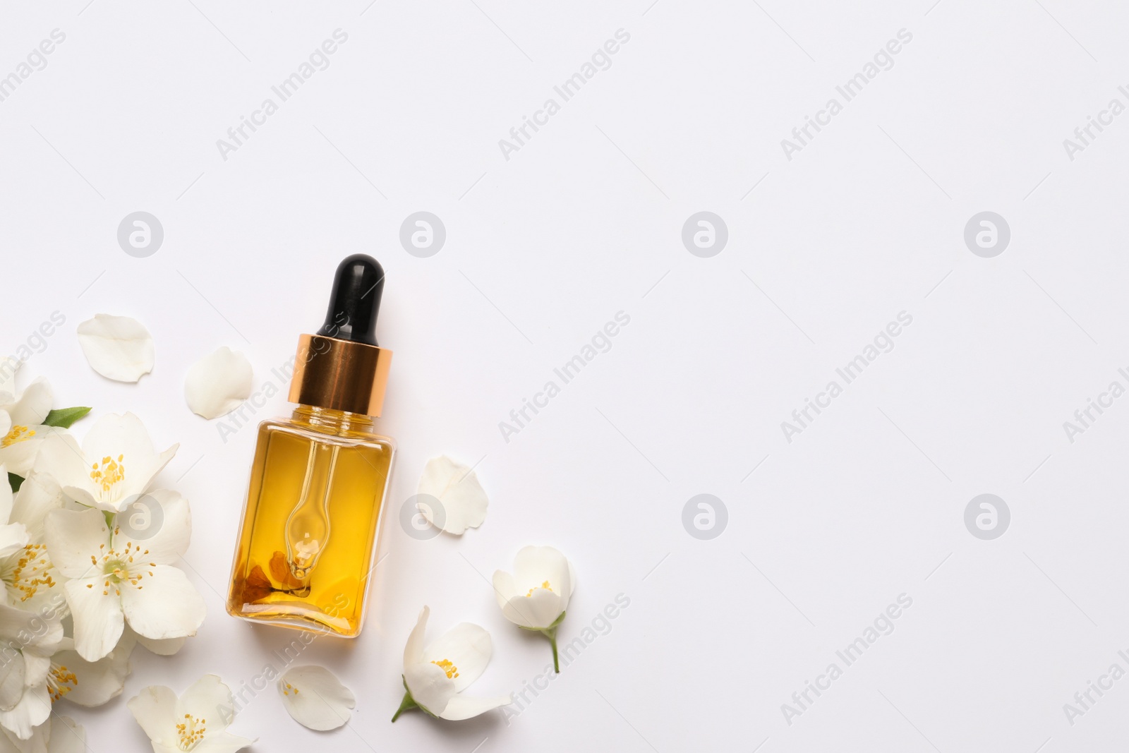 Jasmine essential and fresh flowers on white background, top view Photo of Jasmine essential and fresh flowers on white background, top view