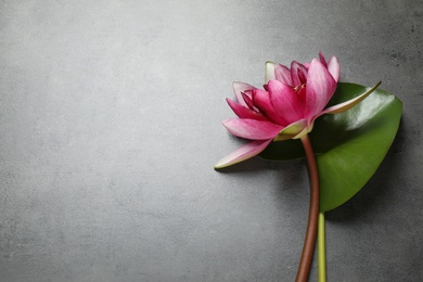 Photo of Beautiful pink lotus flower with green leaf on grey table, flat lay. Space for text