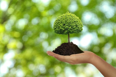 Woman holding pile of soil with small tree on blurred green background, closeup. Eco friendly lifestyle Image of Woman holding pile of soil with small tree on blurred green background, closeup. Eco friendly lifestyle