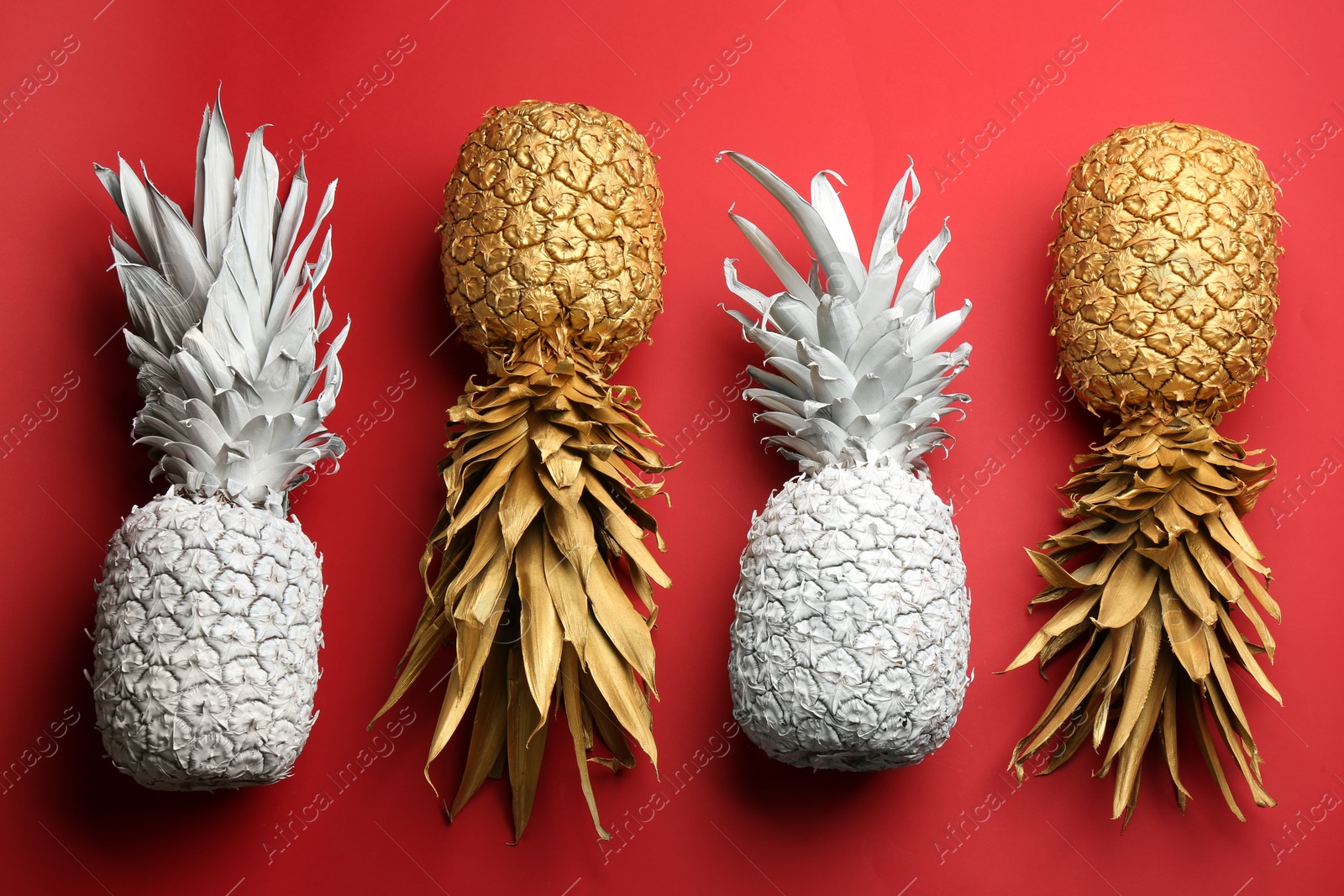 White and golden pineapples on red background, flat lay. Creative concept Photo of White and golden pineapples on red background, flat lay. Creative concept