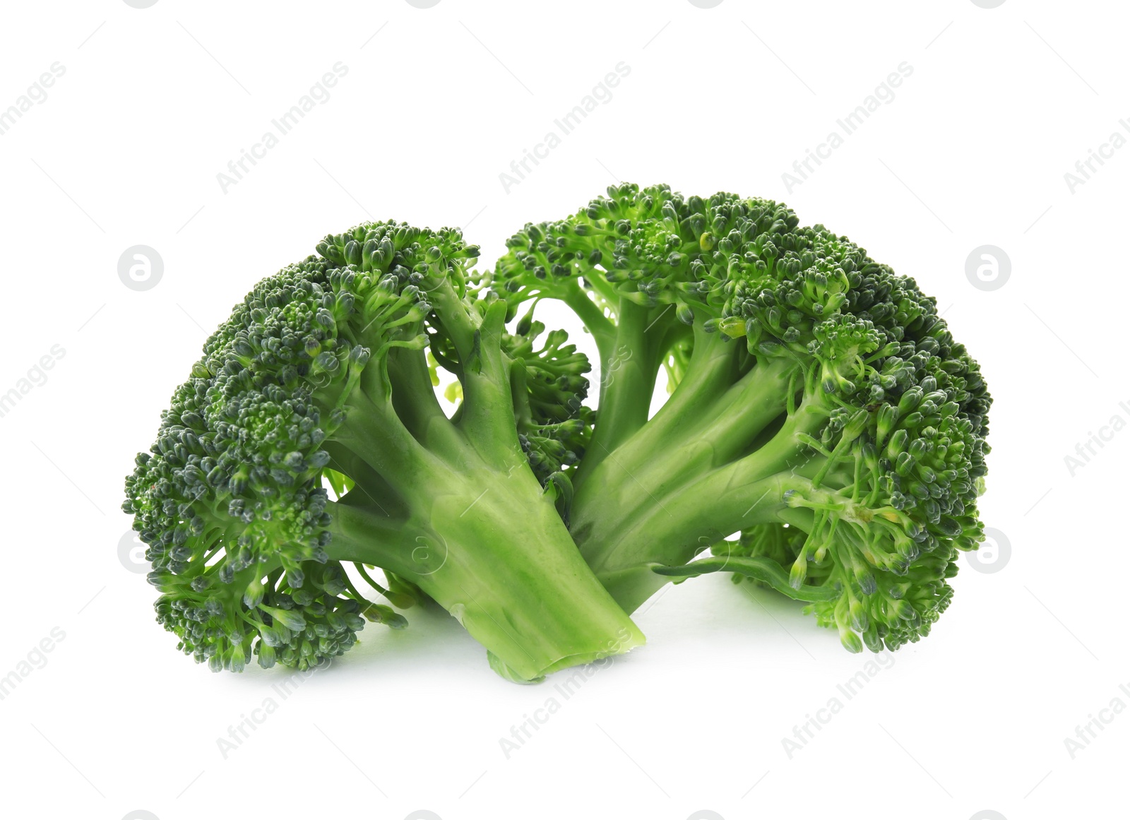 Fresh broccoli isolated on white. Edible green plant Photo of Fresh broccoli isolated on white. Edible green plant