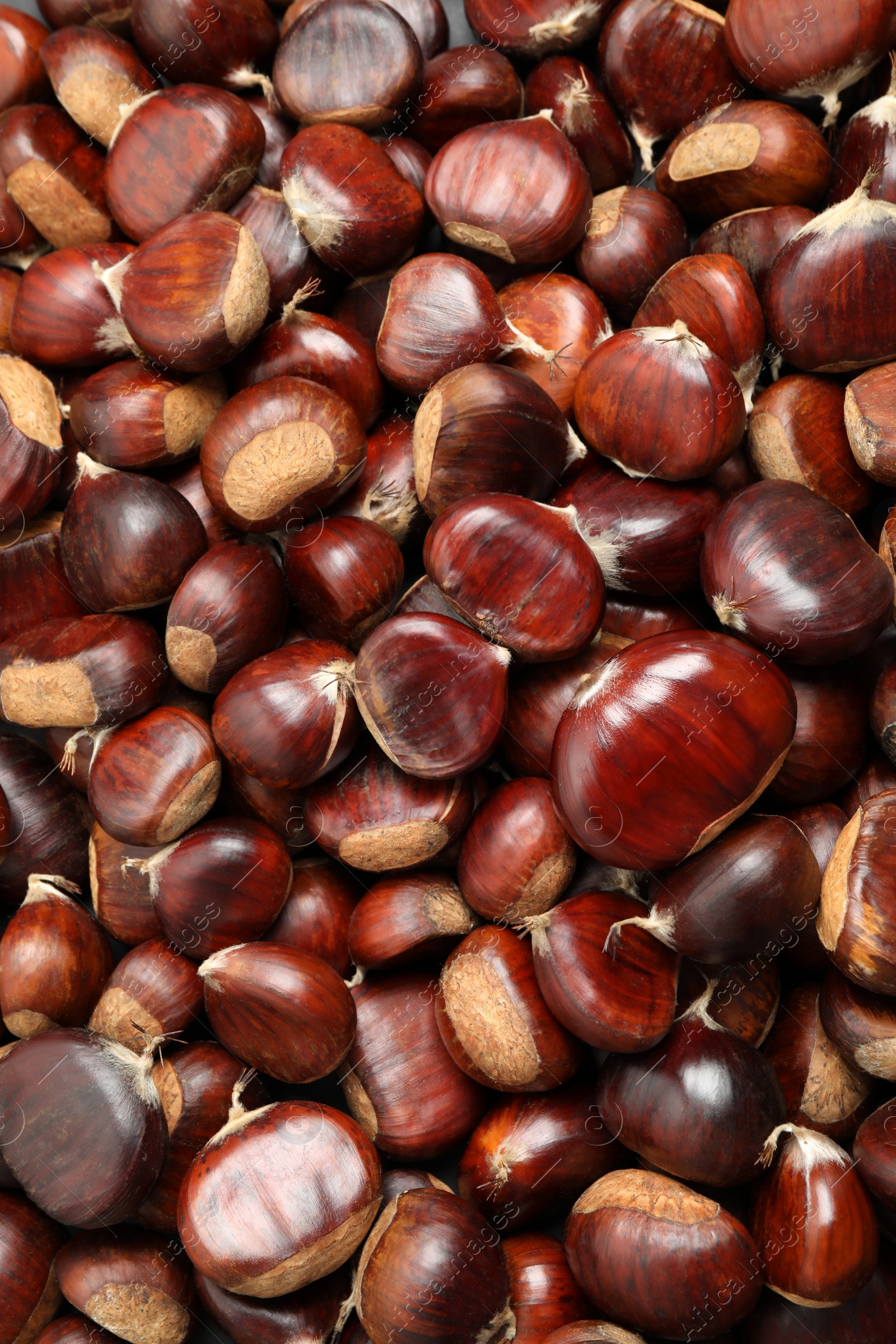 Top view of fresh edible sweet chestnuts as background, closeup Photo of Top view of fresh edible sweet chestnuts as background, closeup