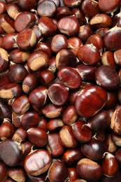 Top view of fresh edible sweet chestnuts as background, closeup Photo of Top view of fresh edible sweet chestnuts as background, closeup