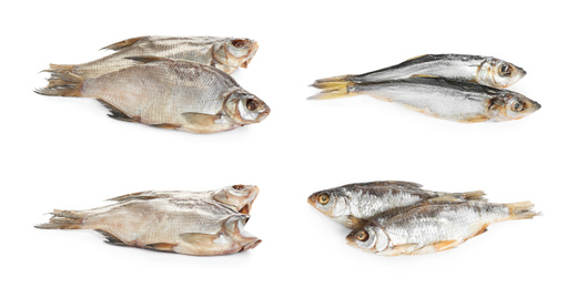 Set of tasty dry fish on white background Image of Set of tasty dry fish on white background