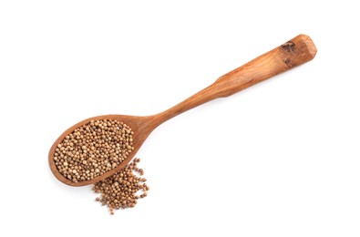 Photo of Dried coriander seeds with wooden spoon on white background, top view