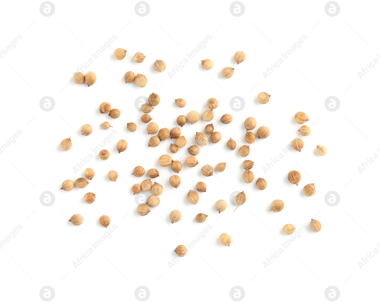 Scattered dried coriander seeds on white background, top view Photo of Scattered dried coriander seeds on white background, top view