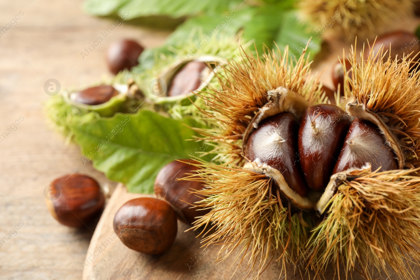 Photo of Fresh sweet edible chestnuts on wooden board, closeup