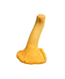 Photo of Fresh wild chanterelle mushroom isolated on white