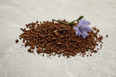 Pile of chicory granules and flower on light grey table Photo of Pile of chicory granules and flower on light grey table