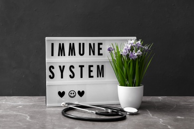 Lightbox with phrase Immune System, plant and stethoscope on grey table Photo of Lightbox with phrase Immune System, plant and stethoscope on grey table
